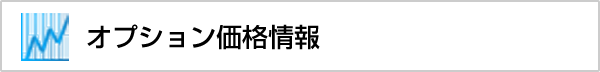 オプション価格情報