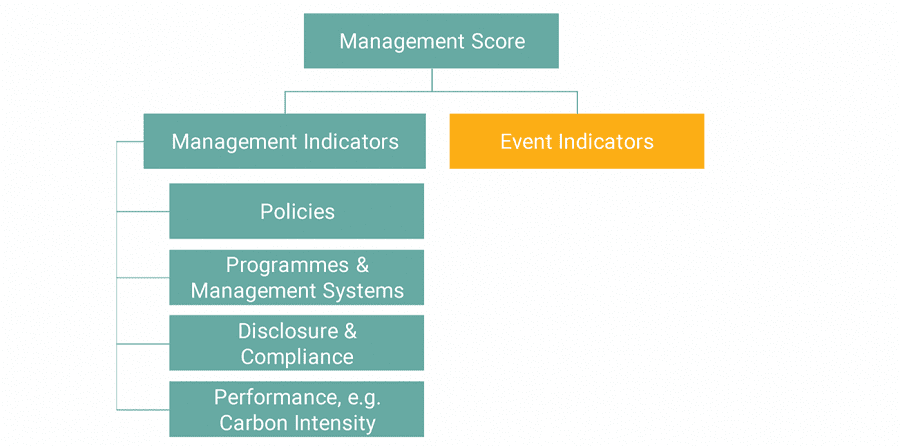 図表7：Managementスコアを構成する評価指標