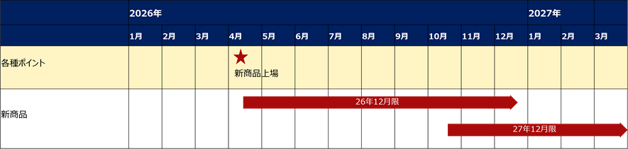 イメージ：ポケットプラチナ100先物上場時の限月と新甫発会