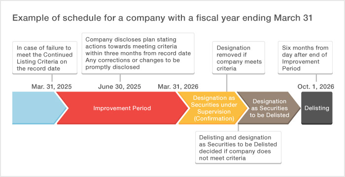 Example of schedule for a company with a fiscal year ending March 31