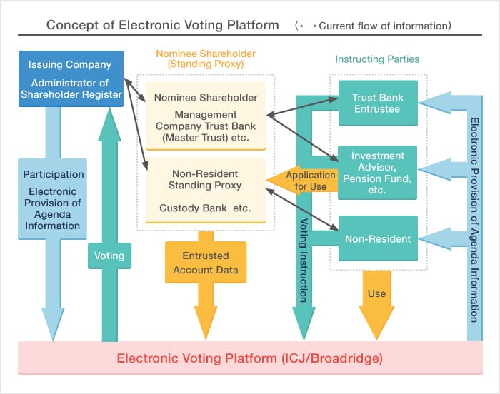 Concept of Electronic Voting Platform