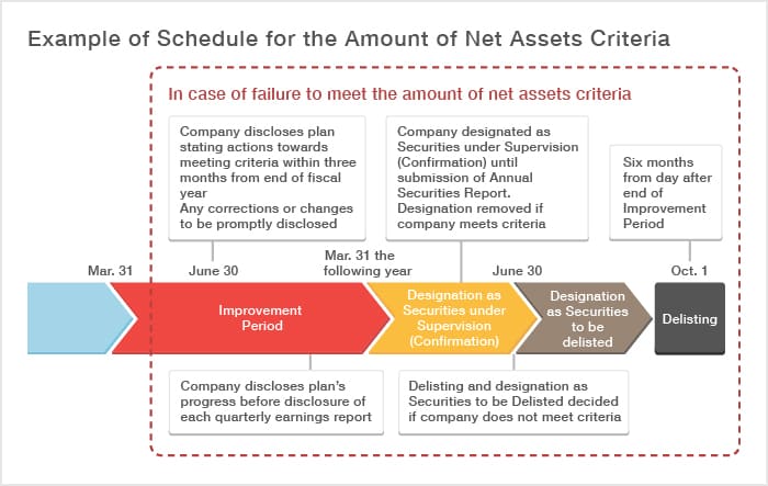 Example of Schedule for the Amount of Net Assets Criteria