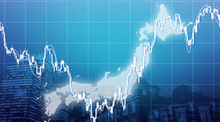 Trading Rules of Domestic Stocks