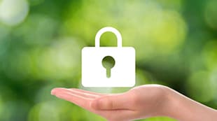 Response to Risk Management